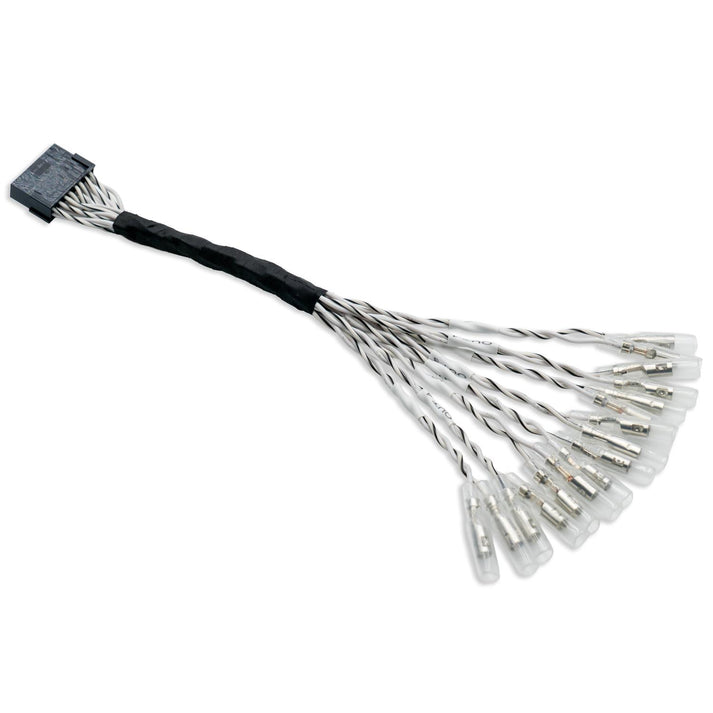 LAudison Prima AP BYPASS, un connettore elettrico nero con fili intrecciati racchiusi in cappucci trasparenti, è laccessorio ideale per gli amplificatori.