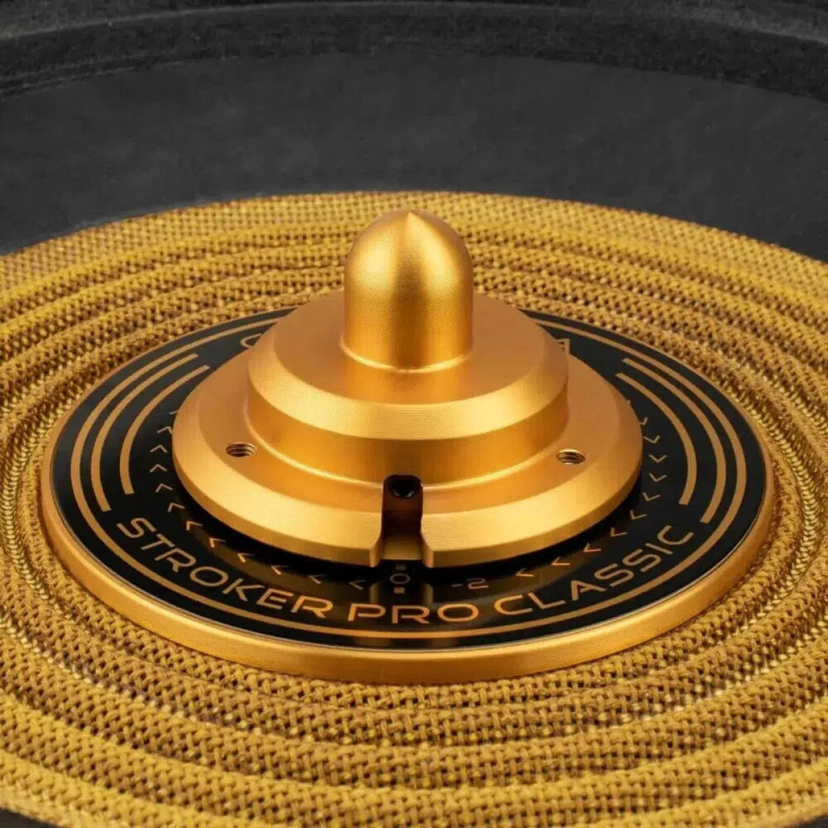 Close-up of a Cerwin Vega Stroker Pro Classic SPCL182 18 subwoofer with a central cone and textured rings.