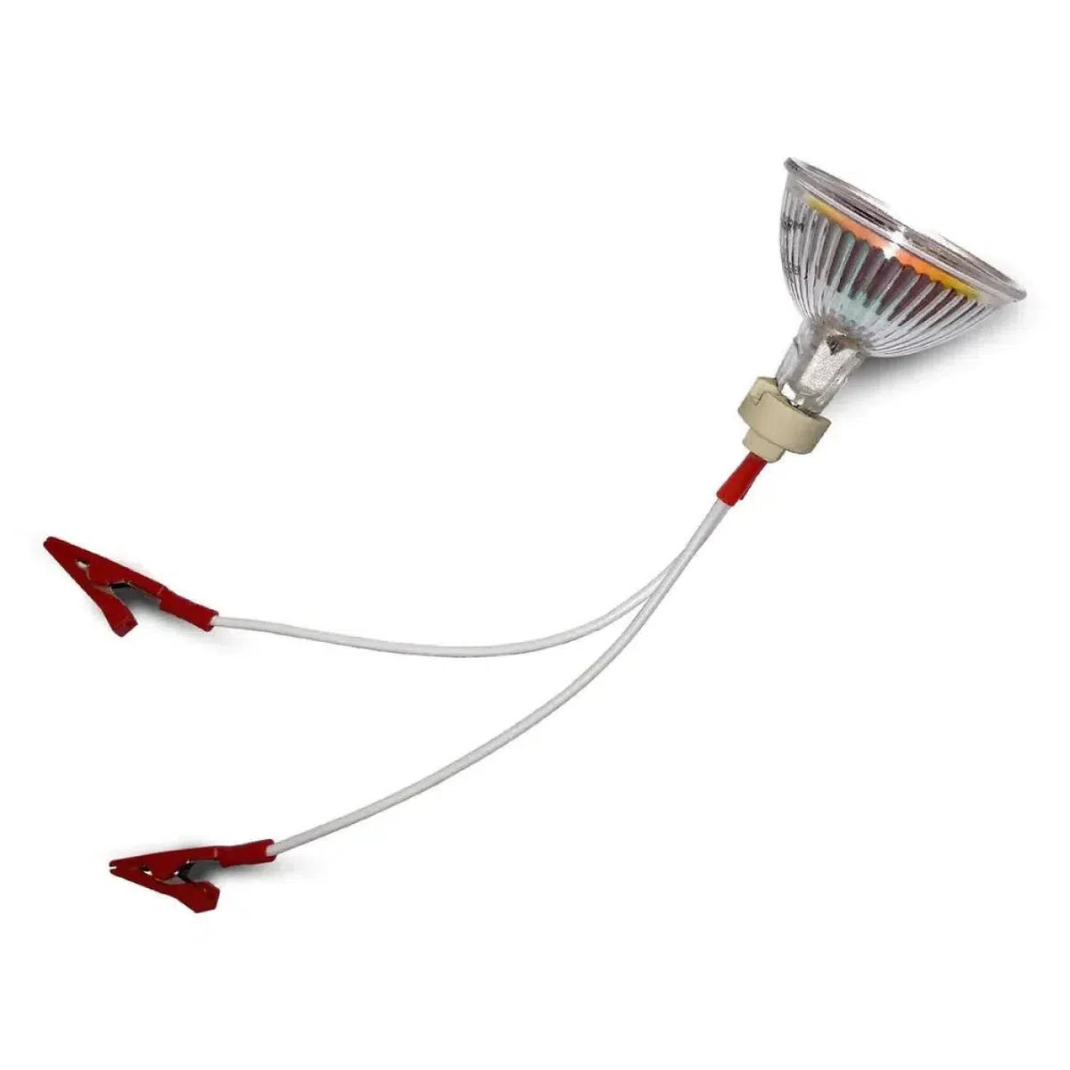 La Masori LW-50W-3.9A est une lampe halogène de 50W avec deux fils, chacun se terminant par une pince crocodile rouge.