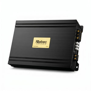 Rebec-D800-1-Kanal Verstärker-masori-kaufen