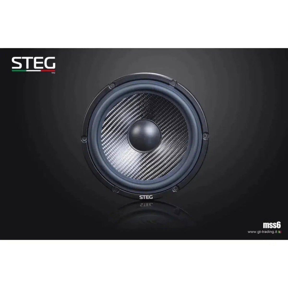 Steg-Masterstroke MSS6-6.5" (16,5cm) Tiefmitteltöner-masori-kaufen