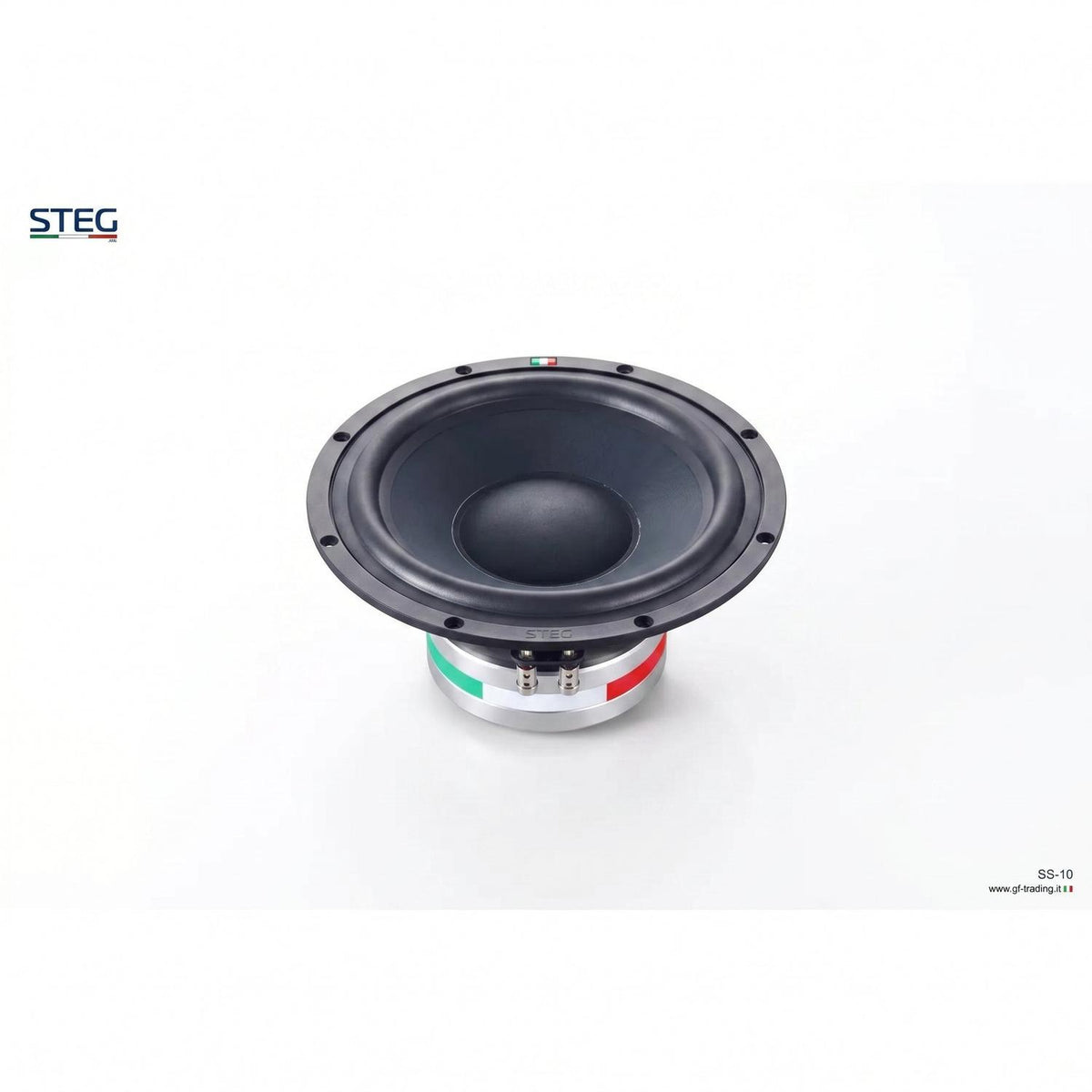 Steg-Masterstroke SS-10-10" (25cm) Subwoofer-masori-kaufen
