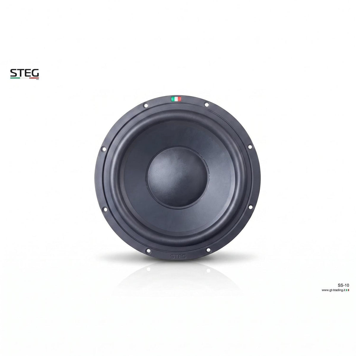 Steg-Masterstroke SS-10-10" (25cm) Subwoofer-masori-kaufen