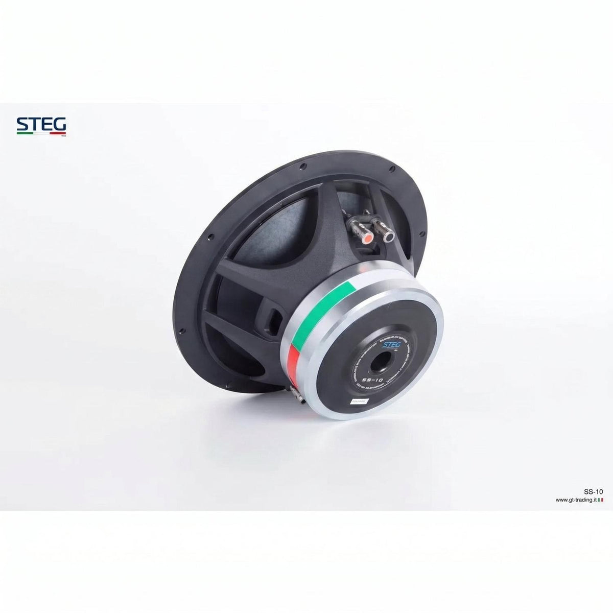 Steg-Masterstroke SS-10-10" (25cm) Subwoofer-masori-kaufen