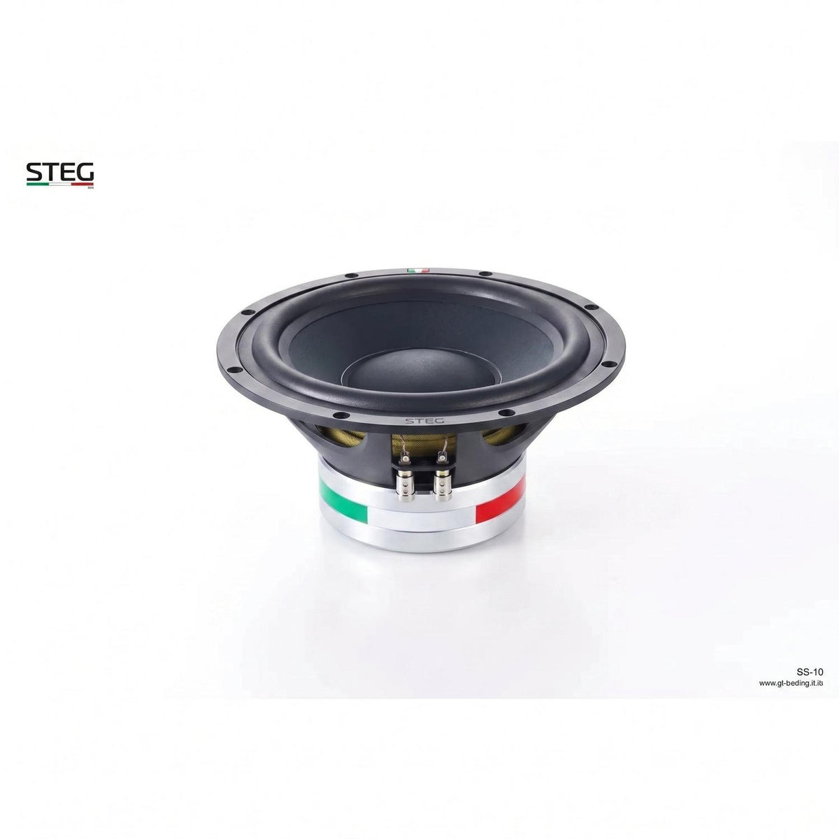 Steg-Masterstroke SS-10-10" (25cm) Subwoofer-masori-kaufen
