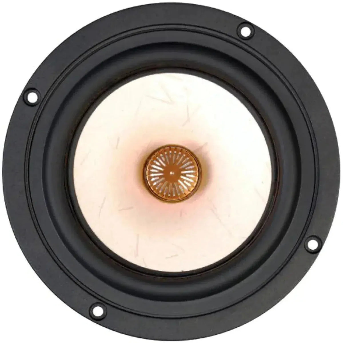 Close-up of the Tang Band W5-1880 Mitteltöner with black outer ring, four mounting holes, beige Bambus Papier Konus, and gold center.
