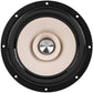 Primer plano de un altavoz Tang Band W8-2145 de 8 pulgadas con centro metálico, cono beige y anillo exterior negro, visto desde arriba.